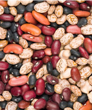 Sorting beans activities